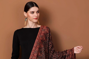 The Royal Elegance of a Pashmina Saree with Shawl