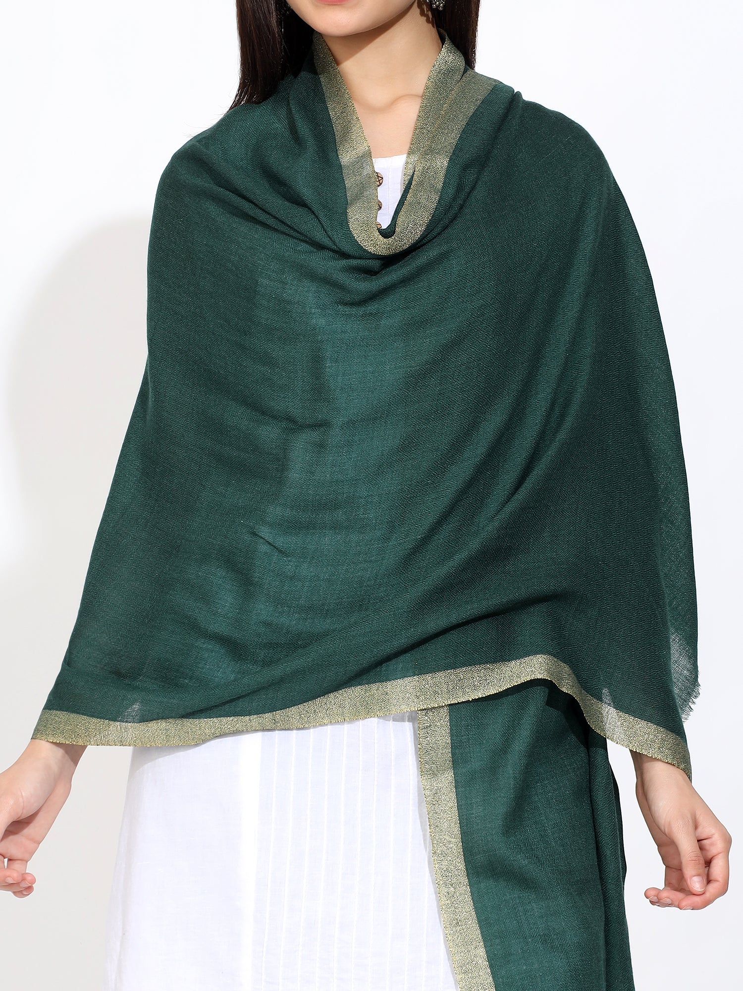 Green Pashmina Wool Zari Kandi Border Stole