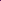 Pashmina Wool Signature Beaded Stole Purple